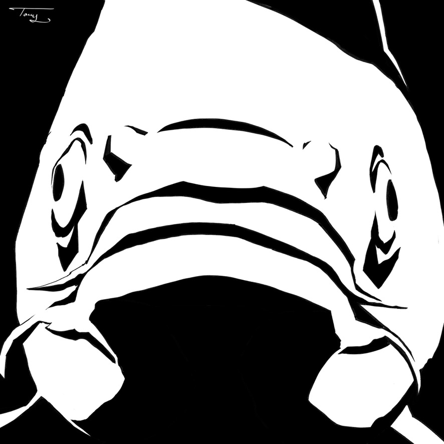 Graphic Koi